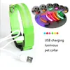 Rechargeable LED Dog Collar S M L XL Pets Night Safety Flashing Collar With USB Cable Charging