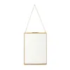 Brass Retro Creative Glass Artwork Plant Specimen Double-sided Glass Metal Photo Frame Plant Photo Frame Horizontal/Vertical