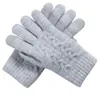 Künstliche Wolle Warme Herbst Winter Outdoor Weiche Gestrickte Erwachsene Waschbar Frauen Handschuhe Doppelte Dicke Solide TouchScreen Täglich1