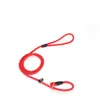 New Nylon Rope Dog whisperer Cesar Millan style Slip Training Leash Lead and Collar Red Blue Black 3 Colors SN3363