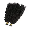 Veri capelli umani Malesi Estensioni dei capelli con punta Afro Jerry Ricci Cheratina Pre incollati Estensioni dei capelli per donne nere 100g1gstrand3253682