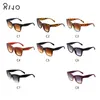 Sunglasses Lady Classic Cat Eye Retro Big Frame Female Leopard Designer UV400 Gradient1