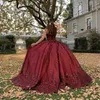 New Burgundy Quinceanera Dresses Jewel Neck Illusion Sequins Crystal Beads Ball Gown Puffy Sweet 16 Plus Size Party Prom Dress Evening Gowns