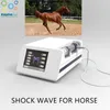 Mobile Shockwave Therapy Machine Shock Wave Therapy Equipment Piezowave för Vet Pet Horses Dog Cat Farm Animal