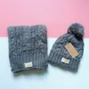 Winter Knitted Caps Scarves Set Inner Fine Hair Warm And Soft Crochet Beanies 6 Colors 260g Wholesale