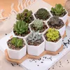 Keramische Bonsai Potten Groothandel Mini White Porselein Flowerpots Leveranciers voor Seeding Succulent Indoor Home Nursery Planters HHB1706