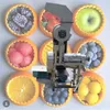 Industrial cold press juicer Large capacity pear orange apple juicer making pressing machine with crusher