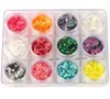 Nail Glitter Nail Art Rhinestone Dekorationer 12 Färguppsättning Professionell fiskskalor Nail Art Stickers Kit DIY TOOLS DIAMANTE DE IMITACIÓN