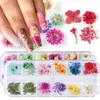 Suszone kwiaty Nail Art Dekoracje Naturalne Suche Kwiatowe Leaf Naklejki Multi Color 3D Nail Art Designs Naklejki Polski zestaw narzędzi do manicure