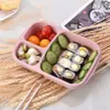 Lunch Box 3 Grid Wheat Straw Bento Bagsradable Transparent Lid Food Container For Work Travel Portable Student Lunch Boxes Contain3495118