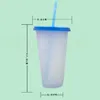700ml Color Changing Cups 24oz Cold Cups Color Changing Tumbler With Straw Ecofriendly Coffee Tumbler Travel Cold Cups SEA SHIPPING RRA3646