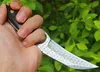 Top Quality Damascus Karambit Claw Knife VG10 Damascus Steel Blade Full Tang Ebony Handle Outdoor Tactical Knives With Leather Sheath