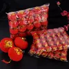 100 stks / partij 3 cm Kleine Flocking Red Lanterns Bruiloft Decor Gift DIY Craft Leuke Chinese Plastic Lantaarns Nieuwjaar Decor