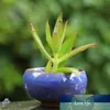 Ice-crackle porslin keramisk blomkruka med hål hem dekoration mini blomkruka för succulents köttiga växter planter