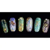 Nail Glitter Nail Art Rhinestone Украшения 12 Цвет Комплект Профессиональные Fish Весы Ногтей Арт Наклейки Kit Diy Инструменты Diamante de Imitación