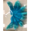 2020 League of Legends LOL Espírito blossm AHRI Tails Nove Caudas Fox AHRI macio azul Tails Prop Cosplay