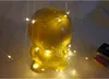 LED String Light 3M Small Battery Operated LED Light Silver Wire Copper String Light For Xmas Halloween Party Decoration fy8123
