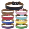 Edelstahl Haustier Hundehalsband Rindsleder Halskette Verstellbare Leder Hundehalsbänder Pet Outdoor Supplies Zubehör 9 Farben 4 Größe BH4286 WXM