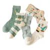 10 pieces = 5 pairs women socks autumn institute embroidery cactus female socks women warm cotton socks 211221