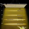 Hot Koop 300 W vierkante volledige spectrum LED Grow Lights Hoge Kwaliteit Wit Nee Noise Plant Licht Big Area of ​​Illumination CE FCC ROHS