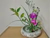 Japon Ikebana Dekor Kenzan İğne Çiçek Taban Tutucu Dikenli Kurbağa Sabit Araçlar Çiçek Düzenleme Pin Japonya Ishizaki Kenzans