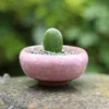 Ceramics Potted Plants Pots Mini Succulents Flowerpot Garden Cactus Flower Pot Home Balcony Office Desktop Decoration Pot BH6154 WLY