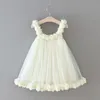 2020 Yaz Yeni Kızlar Çiçek Elbise Petal Kollu Tatlı Prenses Elbise Bebek Giysileri E19581313456