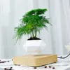 Flor de suspensão magnética Levitating Air Bonsai Pote Planta Suculenta Pátio Decoração Flor de Desktop / Verde C1111