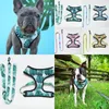 Eenhoorn regenboog tractie riem blad ijs harnas charms dieren leash kattenkleding schattige sleep touw kraag huisdierbenodigdheden kleding 29GL F2