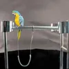 Autres Fournitures Pour Oiseaux 3m Perroquet Volant Laisse D'entraînement Corde Flexible Ultra-légère Anti-morsure Avec Anneau De Jambe Harnais Extérieur Macaw Cockatiel Starli