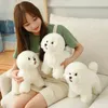 高品質のシミュレーションBichon Frize Dog Plush Toy Stifted Korea LifeLike Pomeranian Dog Puppy Toys Home Docor Kids Brithday LJ2012168772