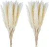 Pampas Grass 30pcs ration Torra blommor Natural Reed Phragmites Bunch Communis Dekoration Horsetail Whisk Lagurus ovatus 220311