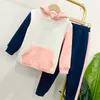 Bebê menina menino crianças dos desenhos animados roupas esportivas conjunto com capuz casaco topos calças 2 pçs sweatsuit bebê menina primavera outono outfits agasalho terno 6780853