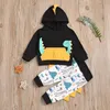 Baby Peuter Kleding Set Cartoon Dinosaurus Kinderen Meisje Hooded Tops Broek 2 Stks Sets Pocket Bloem Meisjes Outfit Baby Boutique Kleding DW6183