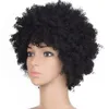 Moda Europeia e Americana Cabelo Cabelo Africano Africano Cabelo Curly Feminino Africano Preto Alta Temperatura Fibra Química de Seda HE805303