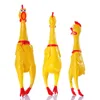 screaming chicken dog toy