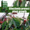 Fret gratuit YEGBONG OEM ODM Pest Control Anti-oiseau net jardin plante net couverture légumes serre arbre fruitier élevage anti-insectes senne bourse anti-âge