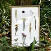 CuteLife White Nordic Wood PO 프레임 시편 식물 빈티지 그림 벽 프레임 말린 꽃 그림 포스터 홈 장식 201211