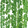 12 pièces/paquet guirlande de feuilles de lierre artificielles plantes vigne faux feuillage fleurs décor à la maison en plastique fleur rotin à feuilles persistantes Cirrus