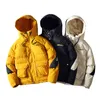 Winter Lagen Men Streetwear Brand Parks Coats Men High Street Jacket Dik Warm Kleding Male mode Winterjas 201127