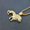 Lew nierdzewna Lwa Naszyjnik dla kobiet Mengold Lwy Głowa Wisiant Animal Jewelryafrica Lion Etiopian Gift 20101484285194225214