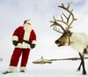 Accesorios de disfraces 2021 Diseño de moda navideña Santa Claus Mascota Dibujos animados Cosplay Vestido Personalizar Carnaval para adultos