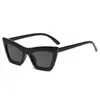 2021 Mesdames rétro Cat Eye Lunettes de soleil Cadre en plastique Tendance Femmes Soleil Soleil UV400 4 Colours en gros