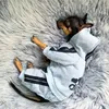 Adidog Huisdier Kleding Chihuahua Franse Bulldog Winter Warm Hond Kleding Vier Benen Hond Jas Jas Puppy Kleding voor Kleine honden Outfit