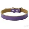 Edelstahl Haustier Hundehalsband Rindsleder Halskette Verstellbare Leder Hundehalsbänder Pet Outdoor Supplies Zubehör 9 Farben 4 Größe BH4286 WXM