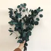 80G / Лот, натуральный консервированный букет Eucalyptus листья, вечный сушеный для свадебных аксессуаров для украшения дома, цветок дисплея 201222