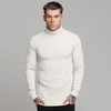 Men Casual Turtleneck Pullovers Autumn Winter Fashion Thin Sweater Solid Slim Fit Knited Long Sleeve Knitwear
