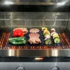 Wiederverwendbare Antihaft-BBQ-Werkzeuge, Grillmatte, Backblech, tragbar, Outdoor, Picknick, Kochen, Grillplatte, Ofenwerkzeug, Partyzubehör, Grill YL0257