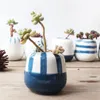 Ensemble de 8 design original mini céramique plante succulente à la main en porcelaine à la main décoration de la maison de fleur Pot de fleurs Bonsaï Y200709