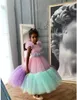 2022 Rainbow Flower Girl Dress Jewel Neck Tulle Ruffles Cap Sleeve Enfants Robes Pour Mariage Anniversaire Première Sainte Communion Robes